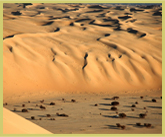 Sand dunes at Temet, Air and Tenere Natural Reserves world heritage site - Niger