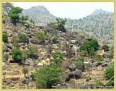 View of the rocky hillsides of the Sukur Cultural Landscape UNESCO world heritage site in the Mandara Mountains near Maidaguri (Nigeria)