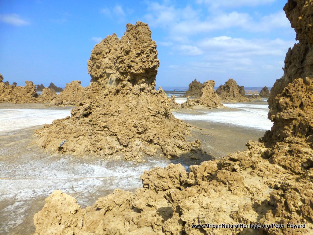 Giant chimneys tower over the bed of Lake Abbe in the Danakil Depression