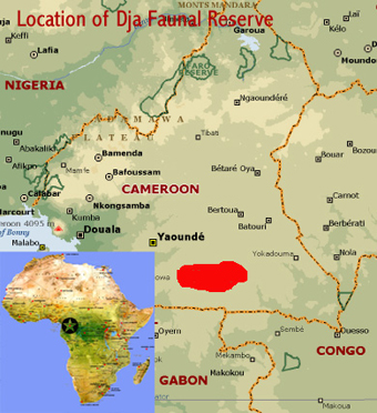Map showing the location of the Dja Wildlife Reserve world heritage site in Cameroon