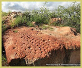 Evidence of ancient pastimes embedded in the rock at Mapungubwe Cultural Landscape UNESCO world heritage site (South Africa)