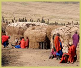 The Maasai people living within the Ngorongoro Conservation Area world heritage site practise a traditional lifestyle, and welcome tourists to visit their homesteads while on safari in Tanzania