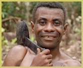Mbuti and Efe pygmy hunter-gatherer peoples inhabit the Okapi Wildlife Reserve world heritage site, part of the Ituri Forest in the north-eastern Democratic Republic of Congo
