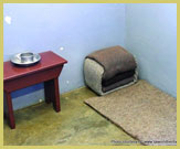 Prison cell where Nelson Mandela was held on Robben Island UNESCO world heritage site (South Africa)