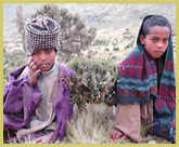 Amhara shepherd boys are a common sight the Simien Mountains National Park world heritage site in Ethiopia