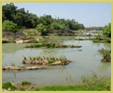 Gallery forests and seasonal wetlands along the banks of the Comoe river contribute to exceptional levels of biological diversity in the Comoe National Park world heritage site of northern Ivory Coast