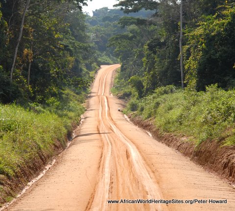 Roads like this one cutting through Okapi Wildlife Reserve (Congo) threaten the ecological integrity of many natural sites