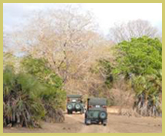 Customised safari vehicles enable visitors to penetrate the wildernes in the Selous Game Reserve world heritage site (Tanzania)