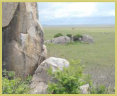 Massive granite outcrops, known as Kopjes, puntuate the landscape of the Serengeti National Park world heritage site, Tanzania