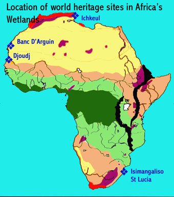 wetlands biome map
