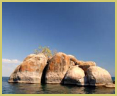 Islands often support unique endemic species of mbuna, as the rock-dwelling cichlid fishes of Lake Malawi world heritage site are known locally