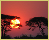 Sunset over the Zambezi, Mana Pools National Park world heritage site, Zimbabwe