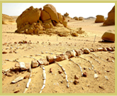 Fossilised whale skeleton lying in the sand at Wadi Al Hitan (Whale Valley) world heritage site in the western deserts of Egypt