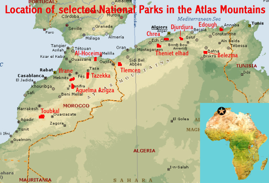 where are the atlas mountains