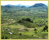 View of the forested hills where the Chongoni Rock-Art Area (a UNESCO world heritage site) is located (near Dedza, Malawi)