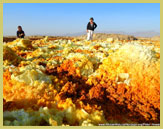 Crystalized formations of sulphur and iron oxide deposited around bubbling hot springs near Dallol in the Danakil Depression (Ethiopia) create an extraordinary landscape which looks like an expanse of colourful terrestrial corals