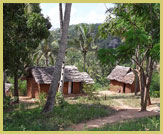 Traditional village homesteads bordering the Sacred Mijikenda Kaya Forests UNESCO world heritage site (near Mombasa, Kenya)
