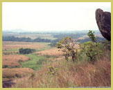 Grasslands along the Ogooue River valley have a long history of human occupation in the Ecosystem and Relict cultural landscape of Lope-Okanda UNESCO world heritage site, Gabon (Central Africa)