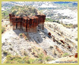 Olduvai Gorge has yielded a wealth of hominid and other mammalian fossils (Ngorongoro conservation area UNESCO world heritage site, Tanzania)