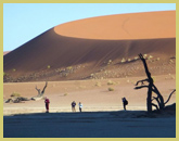Visitors standing amongst the gaunt remains of trees that once grew at Dead Vlei in the Sossusvlei area of the Namib Desert