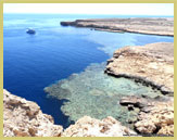 Shoreline coral reefs in Ras Mohammed National Park (Egypt), one of the Red Sea protected areas with potential for world heritage listing
