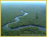 Aerial view of a river meandering through the dense Congo Basin rainforests at Salonga National Park (DR Congo)