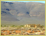 Typical landscape of the central part of the succulent karoo, Tankwa Karoo National Park (South Africa)