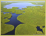 The Sudd Wetlands (South Sudan) support most of the world's shoebill storks and a great diversity of other wildlife